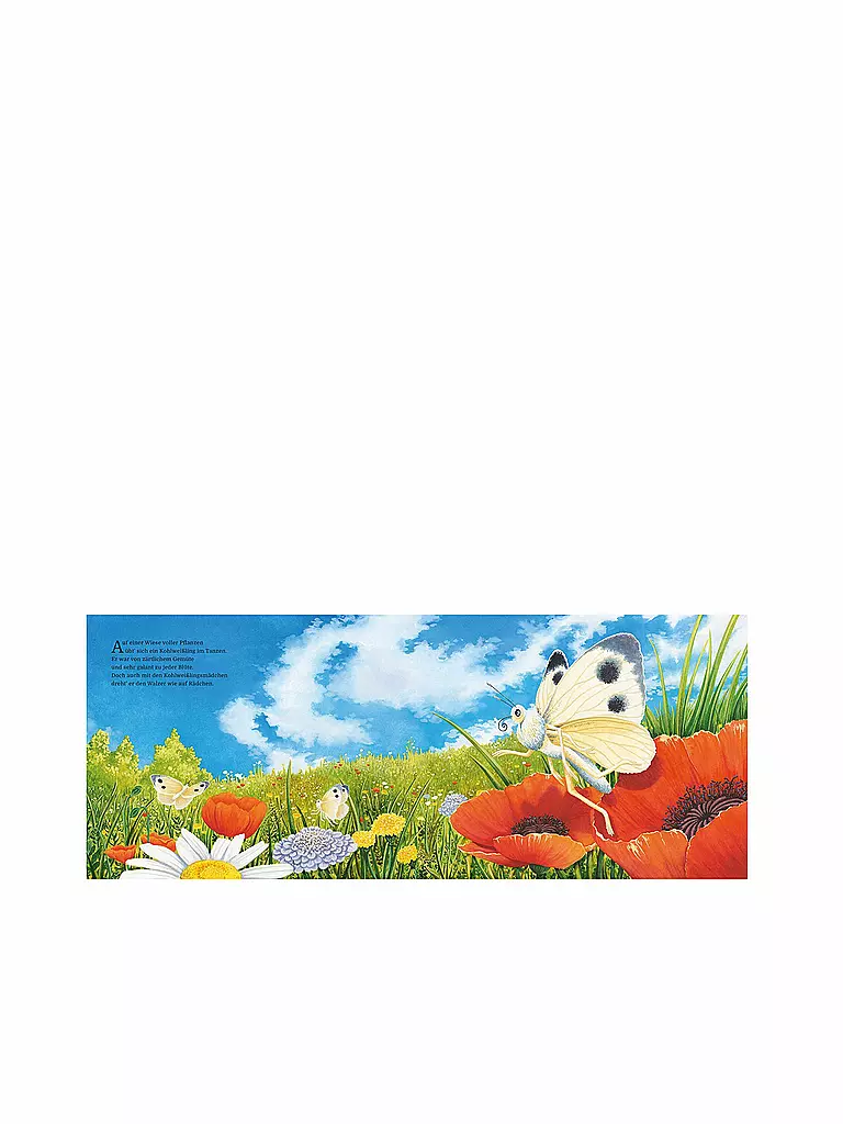 THIENEMANN VERLAG | Livre - Le Lindworm et le Papillon | Aucune couleur