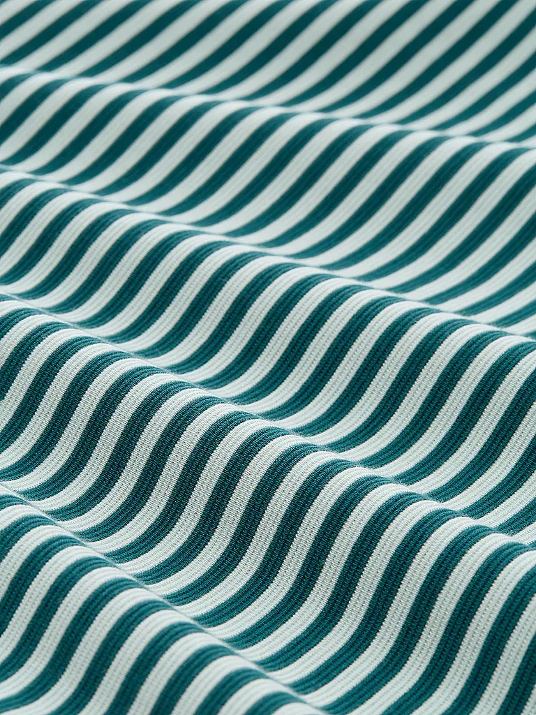 TOM TAILOR | Shirt  | grün