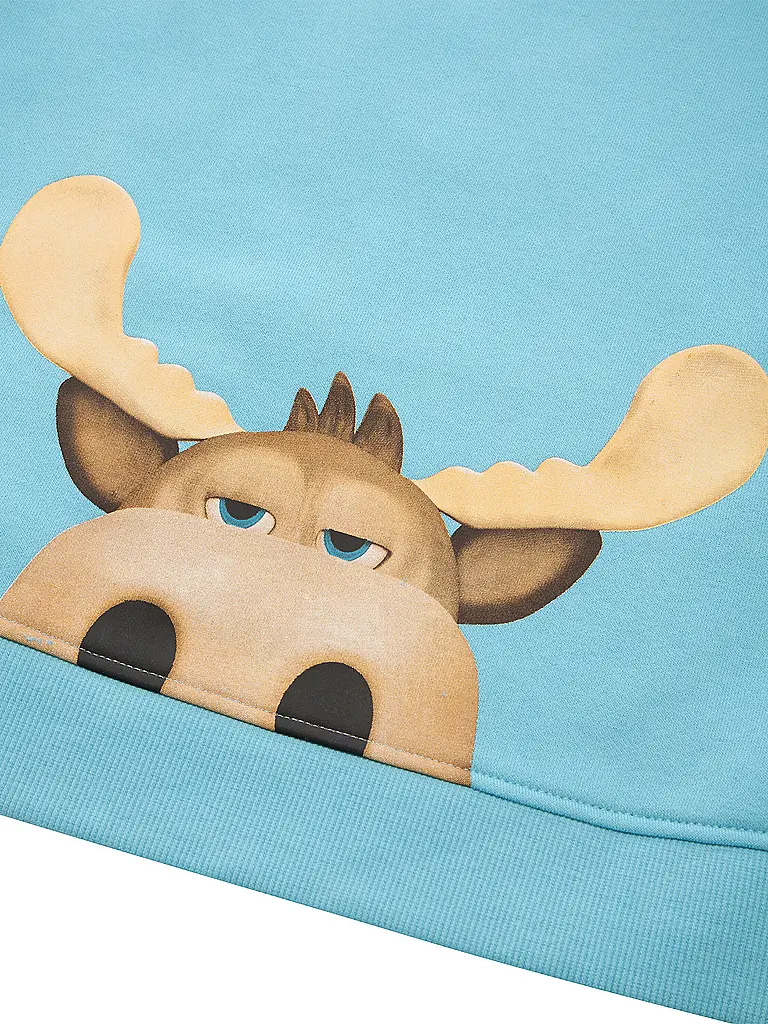 TOM TAILOR | Sweat à capuche garçon - Hoodie | 