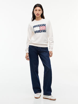 TOMMY JEANS | Sweater