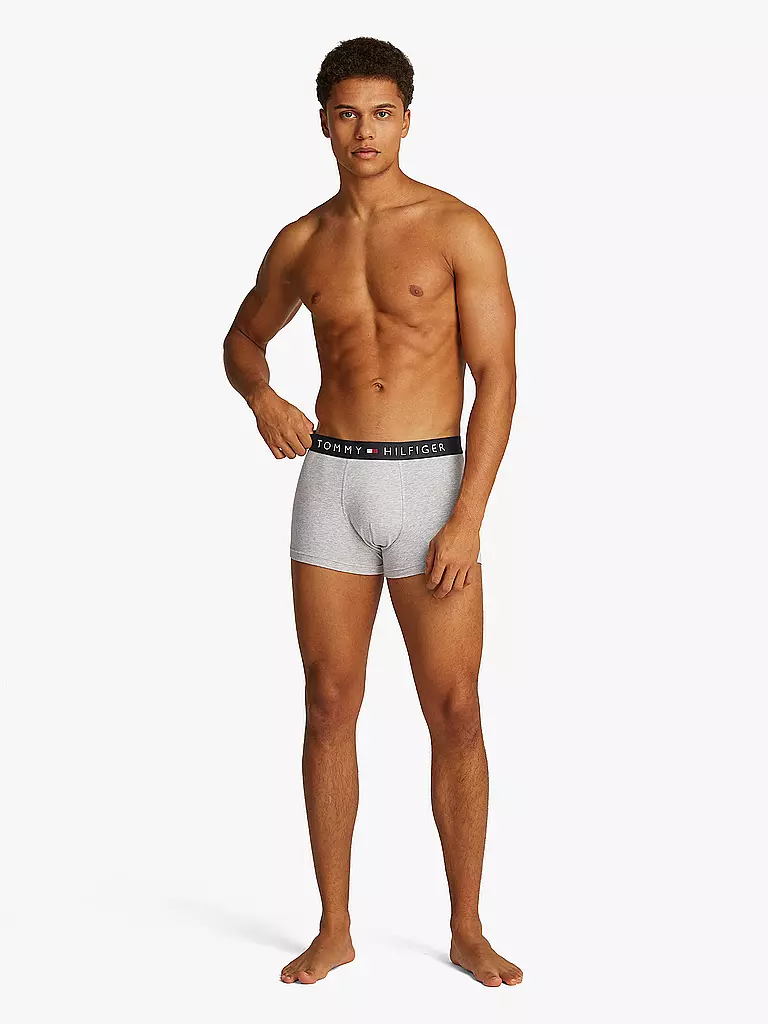TOMMY HILFIGER | Lot de 3 slips beiges | grau