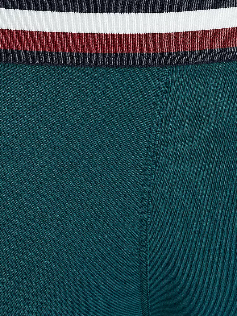 TOMMY HILFIGER | Pants lot de 3 vert | 