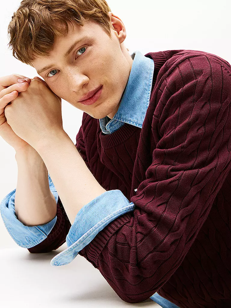 TOMMY HILFIGER | Pull-over | 