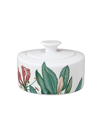 VILLEROY & BOCH SIGNATURE | Sucrier-confiturier 0,33 l Avarua Blanc