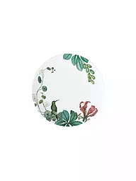 VILLEROY & BOCH SIGNATURE | Assiette à dessert/petit-déjeuner 22x22cm Avarua Blanc | Multicolore