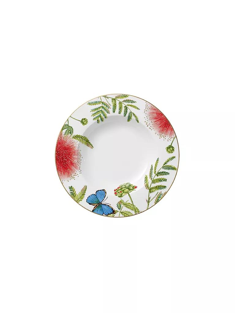 VILLEROY & BOCH SIGNATURE | Assiette à soupe "Amazonia Anmut" 24cm | Multicolore