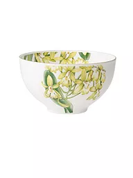 VILLEROY & BOCH SIGNATURE | Schüssel - Bol « Amazonia » 13 cm | Multicolore