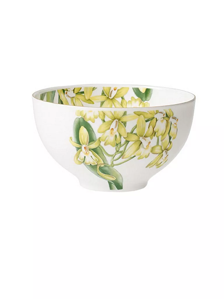 VILLEROY & BOCH SIGNATURE | Schüssel - Bol « Amazonia » 13 cm | bunt