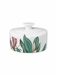 VILLEROY & BOCH SIGNATURE | Sucrier-confiturier 0,33 l Avarua Blanc | Multicolore