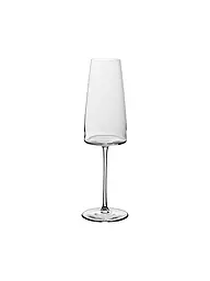 VILLEROY & BOCH SIGNATURE | Verre à champagne 2 pièces METROCHIC 450 ml | Transparent