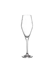 VILLEROY & BOCH | Toy's Delight Set de flûtes à champagne 2 pièces 252 mm | Transparent