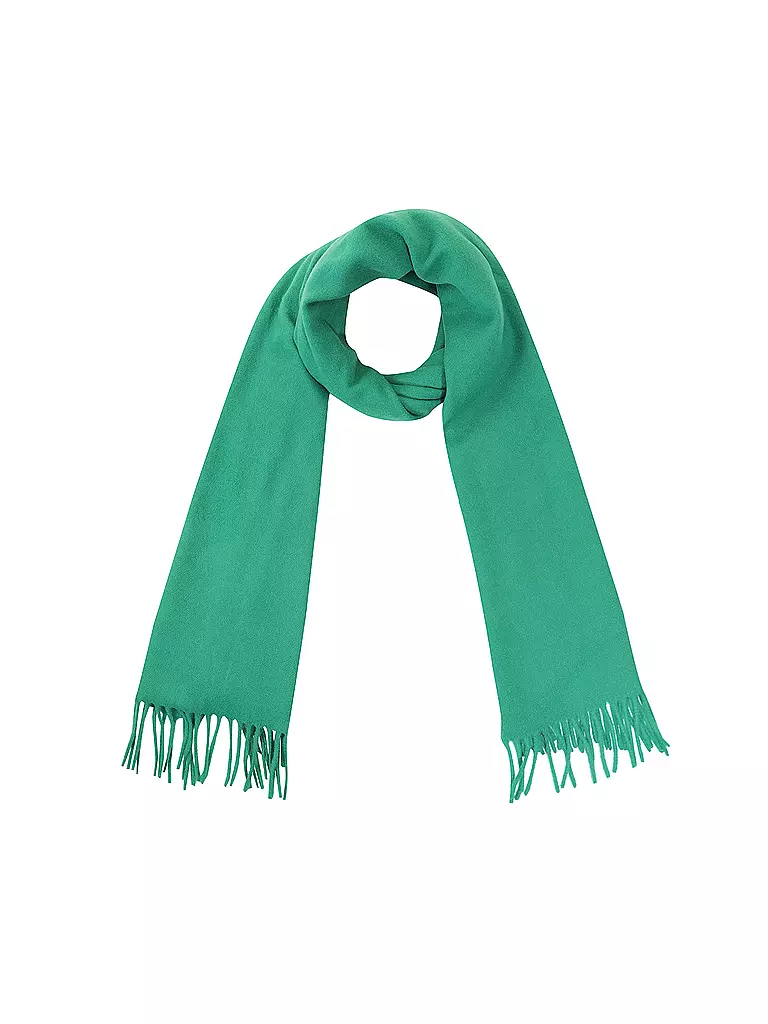 WEEKEND MAX MARA | Schal DUCA | Vert