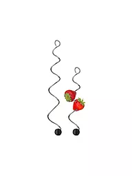 WMF | Fruchtspiess BASIC 2Stk. Cromargan/Sil.  | Argent