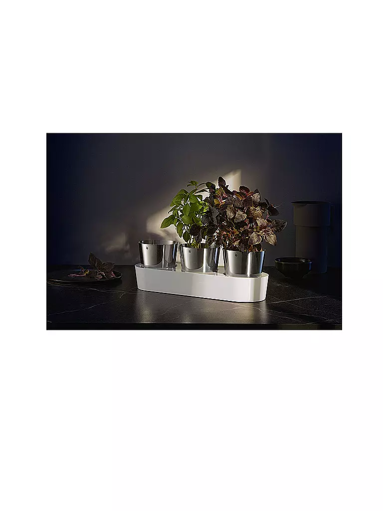 WMF | Set de jardin d'herbes aromatiques d'intérieur Gourmet 3 pièces Cromargan / Blanc | Argent